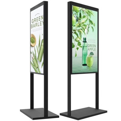 Blackening Resistant Digital Shop Window Displays 55inch Lightweight